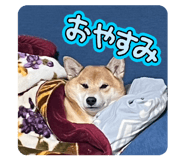856257334