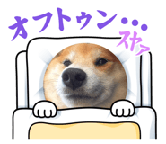 856257339