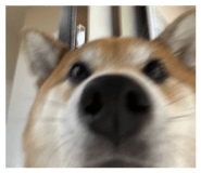 856257342