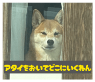 856257348
