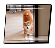 856257350