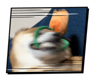 856257352