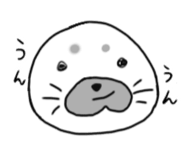 856257362