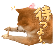 856258239