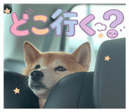 856258243