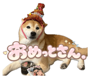 856258244