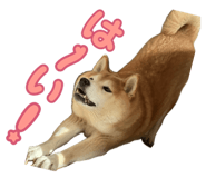 856258250