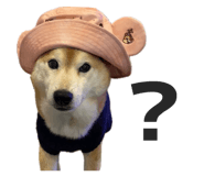 856258253