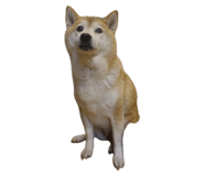 856258263