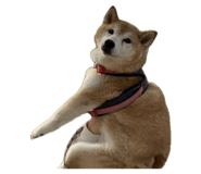 856258265