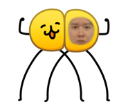 856258332