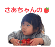 856258445