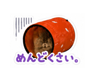 856258470