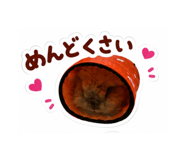 856258475
