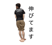 856259036