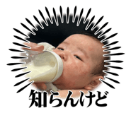 856259067