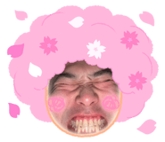 856259519