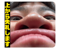 856259604