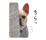 856259910