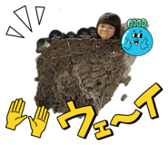 856260001