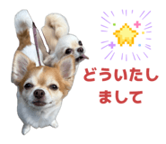 856260059
