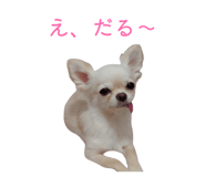 856260071