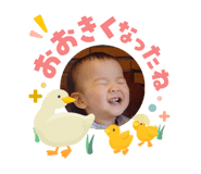 856260144