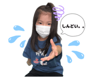 856260186
