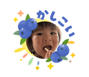 856261650