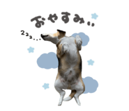 856261976