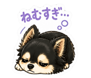 856262050