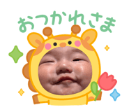 856262411