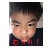 856262704