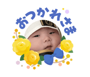 856262708
