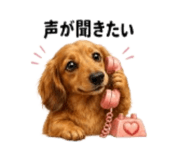 856263069