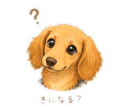 856263550