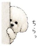 856263883