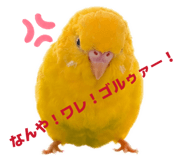 856263959