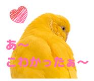 856263961
