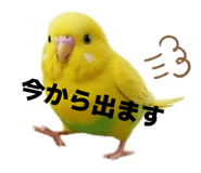 856263965