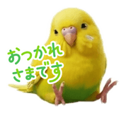 856263966