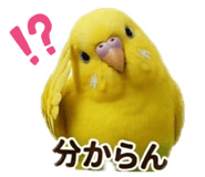 856263971