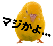 856263974