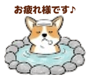 856264155