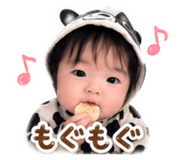 856264413
