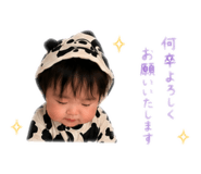 856264492