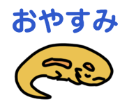 856265254