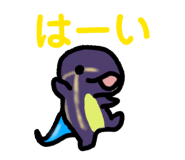 856265267