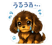 856265330