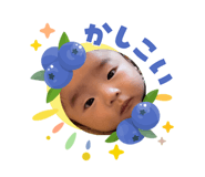 856265377